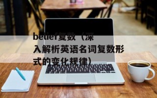 belief复数（深入解析英语名词复数形式的变化规律）
