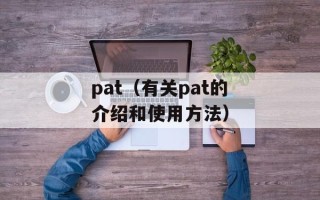 pat（有关pat的介绍和使用方法）