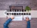 12英寸是多少厘米（英寸和厘米的换算方法）