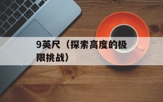 9英尺（探索高度的极限挑战）