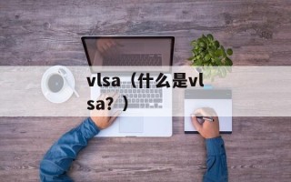vlsa（什么是vlsa？）