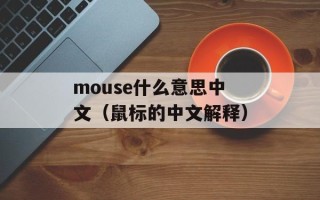 mouse什么意思中文（鼠标的中文解释）