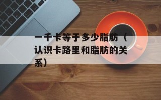 一千卡等于多少脂肪（认识卡路里和脂肪的关系）