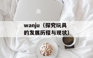 wanju（探究玩具的发展历程与现状）