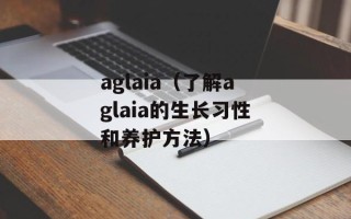 aglaia（了解aglaia的生长习性和养护方法）
