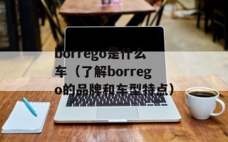 borrego是什么车（了解borrego的品牌和车型特点）