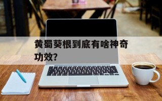 黄蜀葵根到底有啥神奇功效？