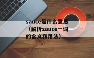 sauce是什么意思（解析sauce一词的含义和用法）