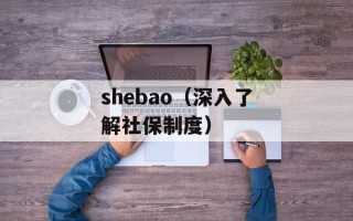 shebao（深入了解社保制度）