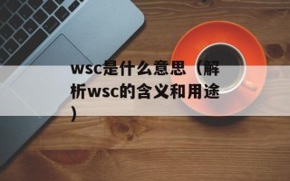 wsc是什么意思（解析wsc的含义和用途）