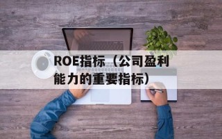 ROE指标（公司盈利能力的重要指标）