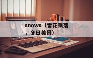 snows（雪花飘落，冬日美景）