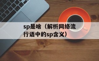 sp是啥（解析网络流行语中的sp含义）