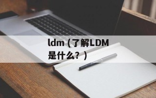 ldm (了解LDM是什么？)