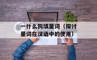 一什么狗填量词（探讨量词在汉语中的使用）