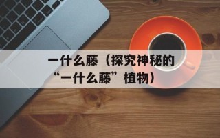 一什么藤（探究神秘的“一什么藤”植物）