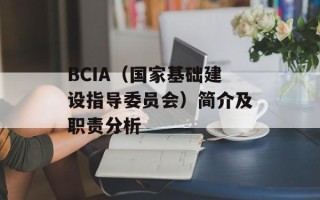 BCIA（国家基础建设指导委员会）简介及职责分析