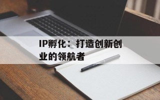 IP孵化：打造创新创业的领航者