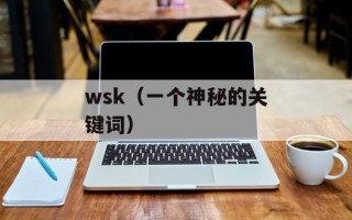 wsk（一个神秘的关键词）