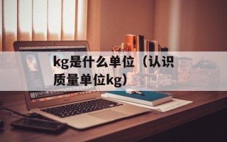 kg是什么单位（认识质量单位kg）