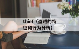 thief（盗贼的特征和行为分析）