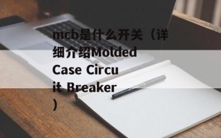 mcb是什么开关（详细介绍Molded Case Circuit Breaker）