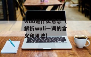 wuli是什么意思（解析wuli一词的含义和用法）
