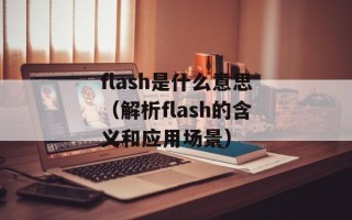 flash是什么意思（解析flash的含义和应用场景）