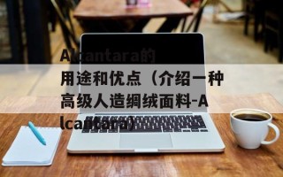 Alcantara的用途和优点（介绍一种高级人造绸绒面料-Alcantara）