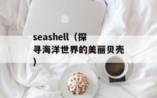 seashell（探寻海洋世界的美丽贝壳）