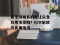 黑芝麻糊真的能让头发乌黑浓密吗？科学解读与食用指南