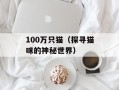 100万只猫（探寻猫咪的神秘世界）