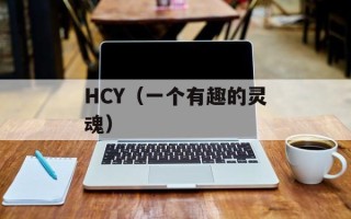 HCY（一个有趣的灵魂）