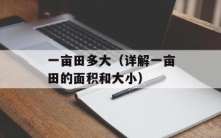 一亩田多大（详解一亩田的面积和大小）