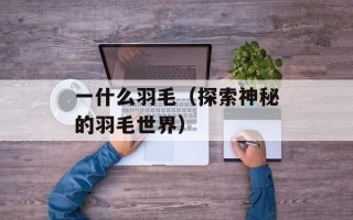 一什么羽毛（探索神秘的羽毛世界）