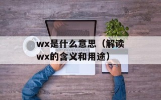 wx是什么意思（解读wx的含义和用途）