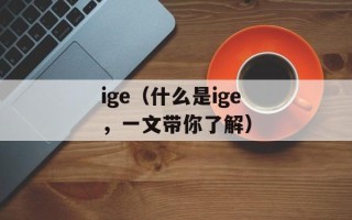 ige（什么是ige，一文带你了解）