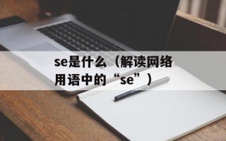 se是什么（解读网络用语中的“se”）