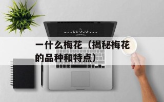 一什么梅花（揭秘梅花的品种和特点）