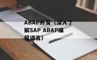 ABAP开发（深入了解SAP ABAP编程语言）