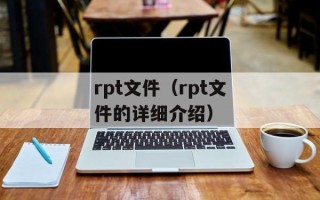 rpt文件（rpt文件的详细介绍）