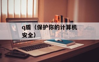 q盾（保护你的计算机安全）