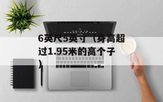 6英尺5英寸（身高超过1.95米的高个子）