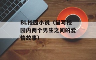 BL校园小说（描写校园内两个男生之间的爱情故事）