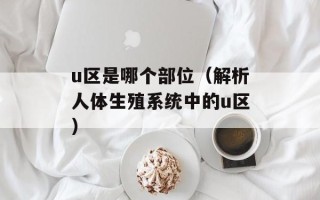 u区是哪个部位（解析人体生殖系统中的u区）