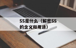 SS是什么（解密SS的含义和用途）