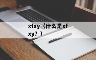 xfxy（什么是xfxy？）