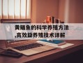 黄鳝鱼的科学养殖方法,高效益养殖技术详解