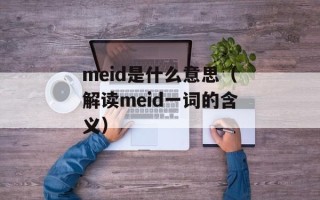 meid是什么意思（解读meid一词的含义）