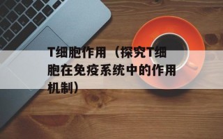 T细胞作用（探究T细胞在免疫系统中的作用机制）